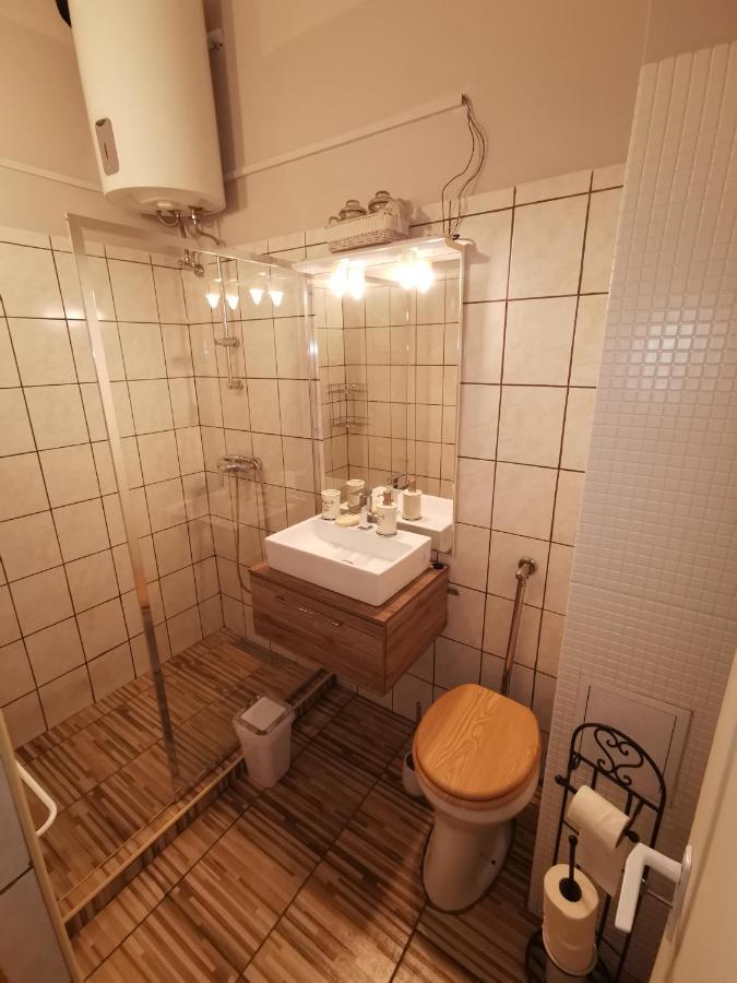 Belvarosi Vintage Apartman A Setaloutcan 米什科尔茨 外观 照片